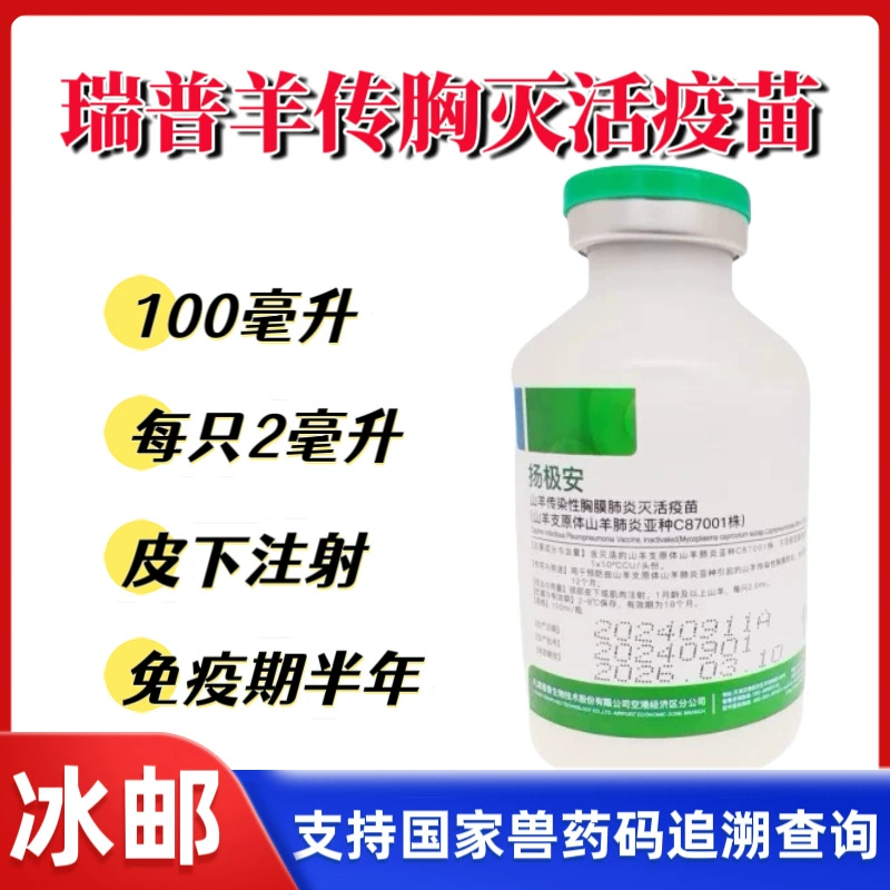 Yangji Anrui Pu Sheep Contagious Bursal Disease Инактивированный вакцинный препарат для овец Вакцина для овец от заразной болезни Bursal Disease Ветеринарная медицина Овечье лекарство 100 мл.