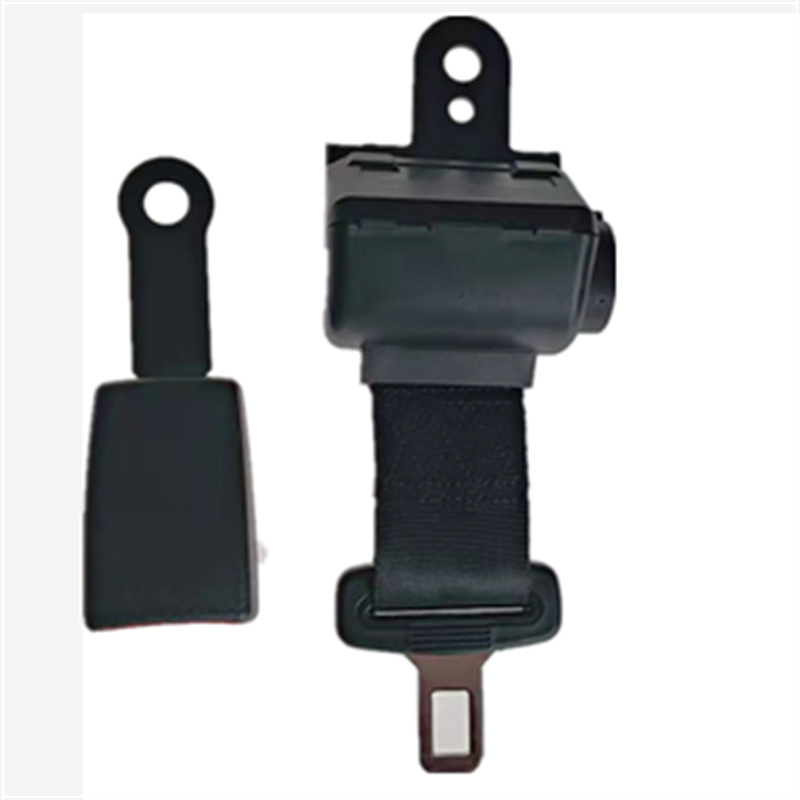 Elastic luggage band