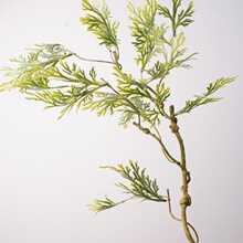 ����ֲ���֦�P���~��֦�ؘ��~�}�Q����ˇƷ�b��ɰ��~ܛ�b�쾰