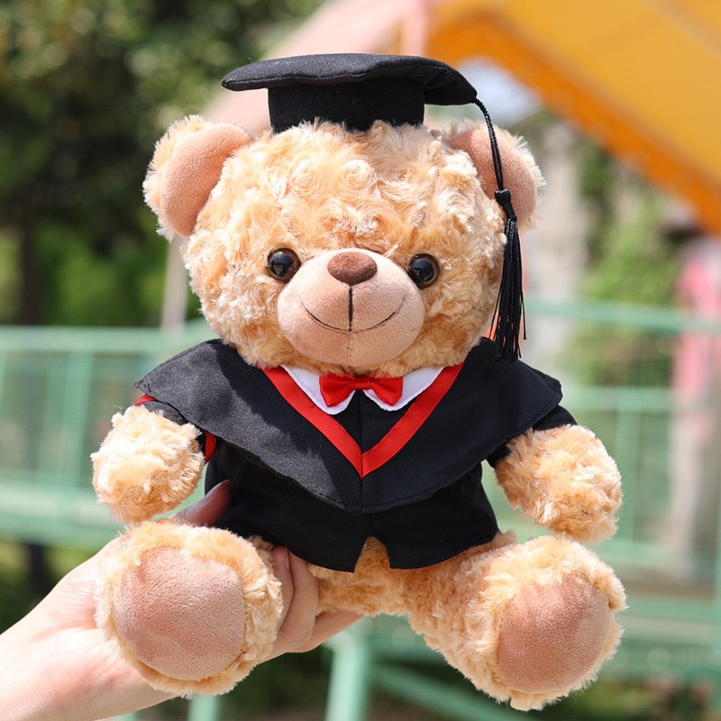 Dr. Teddy Bear impresa logotipo de maestría de maestría de maestría muñeca de peluche regalo de graduación