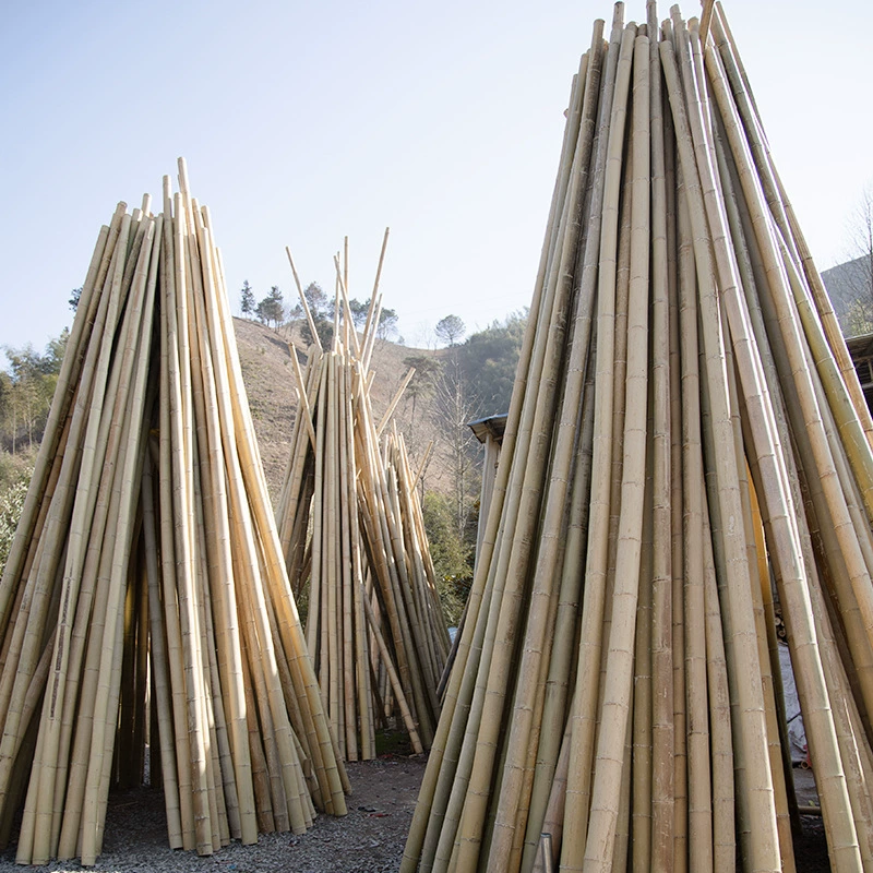 Фабрика прямой зеленый бамбуковый шест Размер бамбуковый шест карбонизированный бамбуковый столб белый бамбук оптом бамбук украшение бамбук