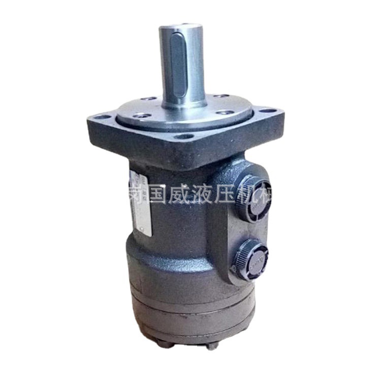 ����˹BM1-200Һѹ����   Һѹ�������� BMRϵ�е�ת�ٴ�Ť������