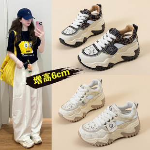 6cm�ɸ��������_�R���^��Ь�U��͸��W��С��Ь�ϵ�ЬŮ���¿�