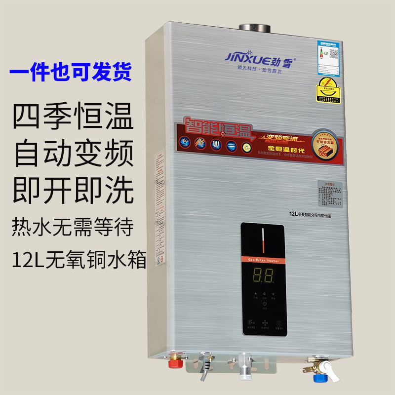 wholesale Gas heater OEM Strong emission constant temperature heater LPG Natural gas Hot water machine