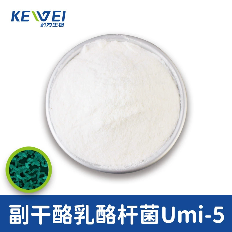 Сырощи 200 миллиардов cfu пробиотик лиофилизированный порошок твердый напиток для взрослых желудочно-кишечный трав