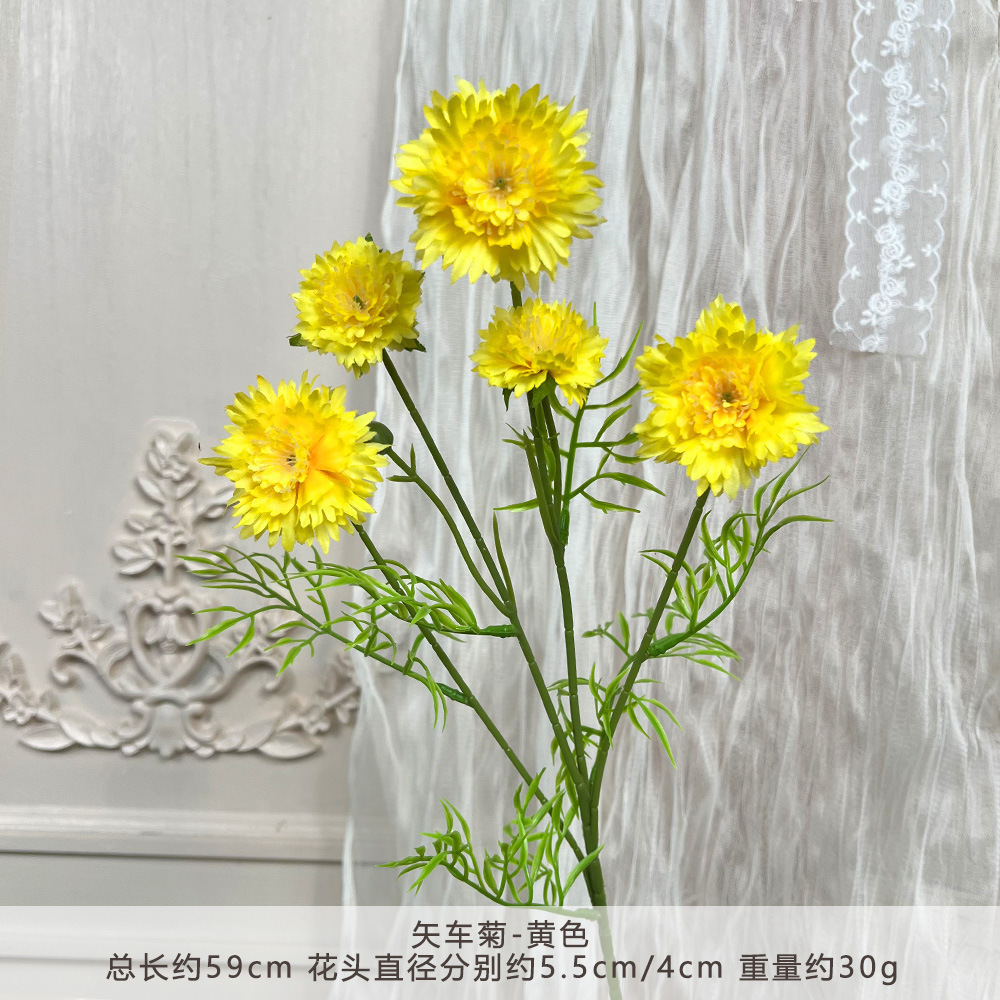 JP-矢车菊-黄色