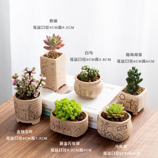 ����ֲ������ֲ��M��С�������ֺ����k������Gֲ���ܺ��莧��