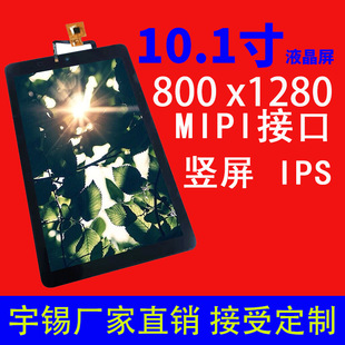 10.1��Һ�����ֱ���800*1280 ���� MIPI IPS ��Ę�R�eˢĘ֧����