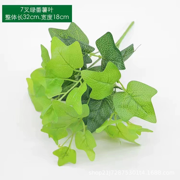 【7 fork green sweet potato leaves】