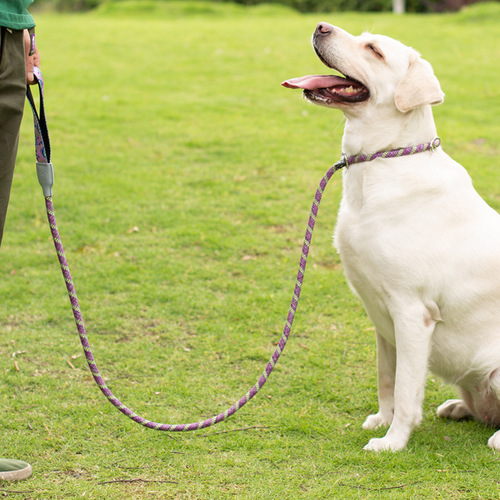 New Pet Dog Leash Anti-Choke Anti-Explosion Pull Rope Universal Dog Leash for Small, Medium and Large Dogs