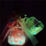 入油夜光学生干花钥匙链