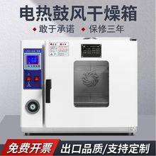 干燥箱烘箱工业烤箱高温干燥箱烘干恒温电热热风源头跨境厂家批发