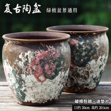 ��ڏ������L���⻨���մɑ���ͥԺ��������÷�ش�̖�չ���D&