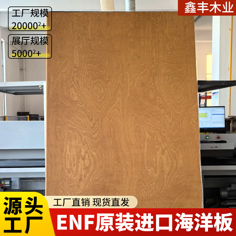 进口全桦木海洋板一手现货直发胶合木板整板环保防潮多种规格批发|undefined