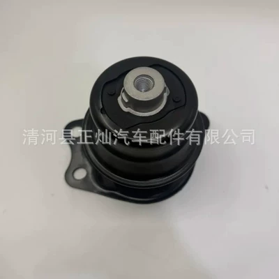 50822-Tf0-J02 High-Quality Front Other walking systems