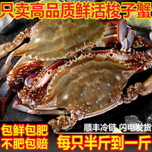 【可清蒸】梭子蟹母蟹特大鲜活速冻现发新鲜螃蟹公蟹零食海鲜水产