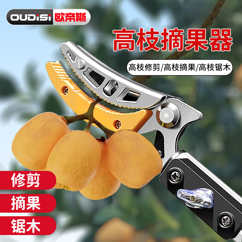Tijeras de ramas altas, tijeras de recolección de frutas, varillas telescópicas, recolección de frutas, nísperos, corte de árboles frutales, corte de ramas, tijeras, recolector de frutas