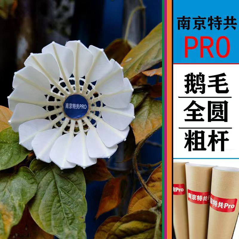 난징 테공 프로(구스 다오 링 76 속도)