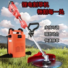 �๦����������﮵��ݻ������������������¹����ڿ���