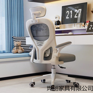 ��X��������������ÿ����k���ΌW��������������w���W늸��D��
