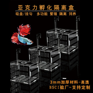 Turtle Isolation Box Fish Tank Turtle Seedling Aquarium Separation Fish Egg Guppy Spawning Box Breeding Box Double Grids Hatching Box