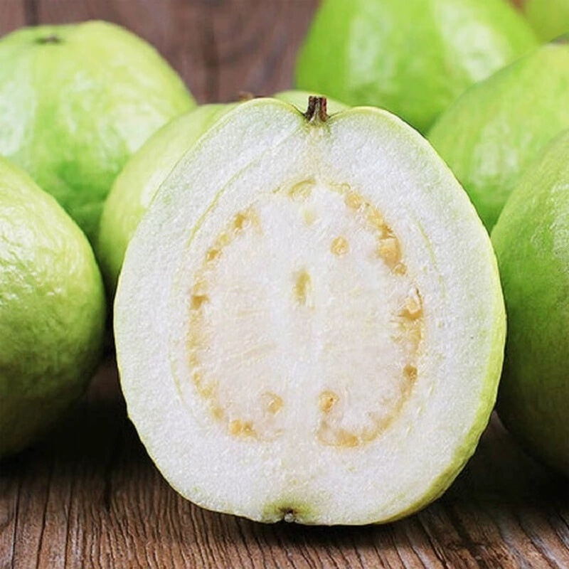 Фуцзянь Чжанчжоу Белое Сердце Гуава Хрустящие Сладкие Гуавы Фрукты Свежие Сезонные Жемчуг Белое Мясо Tubalgo Бесплатная Доставка