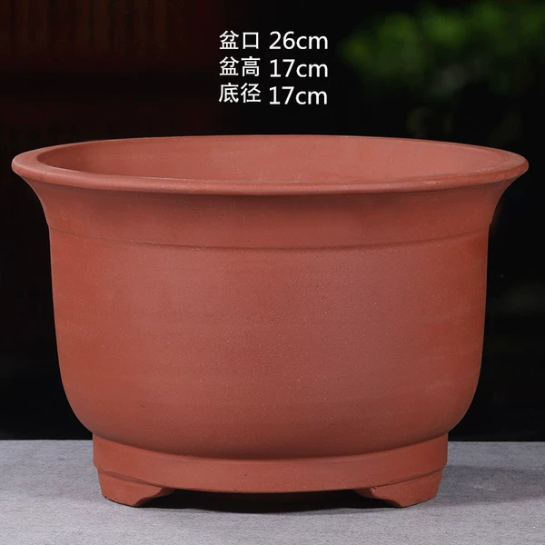 Deep Khaki cloth color pony 26cm large