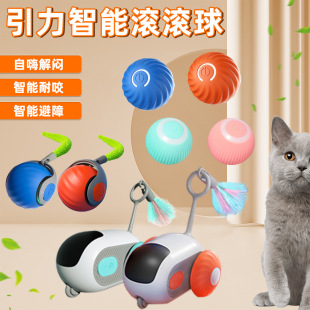 Pet supplies gravity intelligent rolling ball cat toy with cat mint voice molars biting from hi ball wholesale