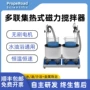 搅拌加热二联磁力搅拌器
