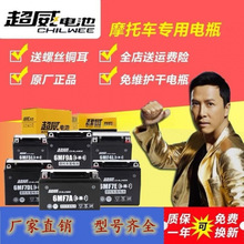 ����Ħ�г��ɵ�ƿ12V��ά��9a������125̤�峵7A������ͨ������
