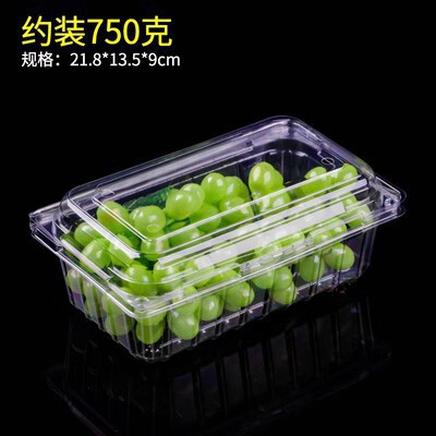 卸売り使い捨て透明果物包装箱は、抗圧PET果切箱の超専用スイカ包装箱を厚くする|undefined