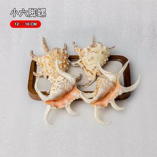 С������ ��Ȼ����ؐ���~���쾰�b���Ҿӵ�̨�[��ˮ��֩����