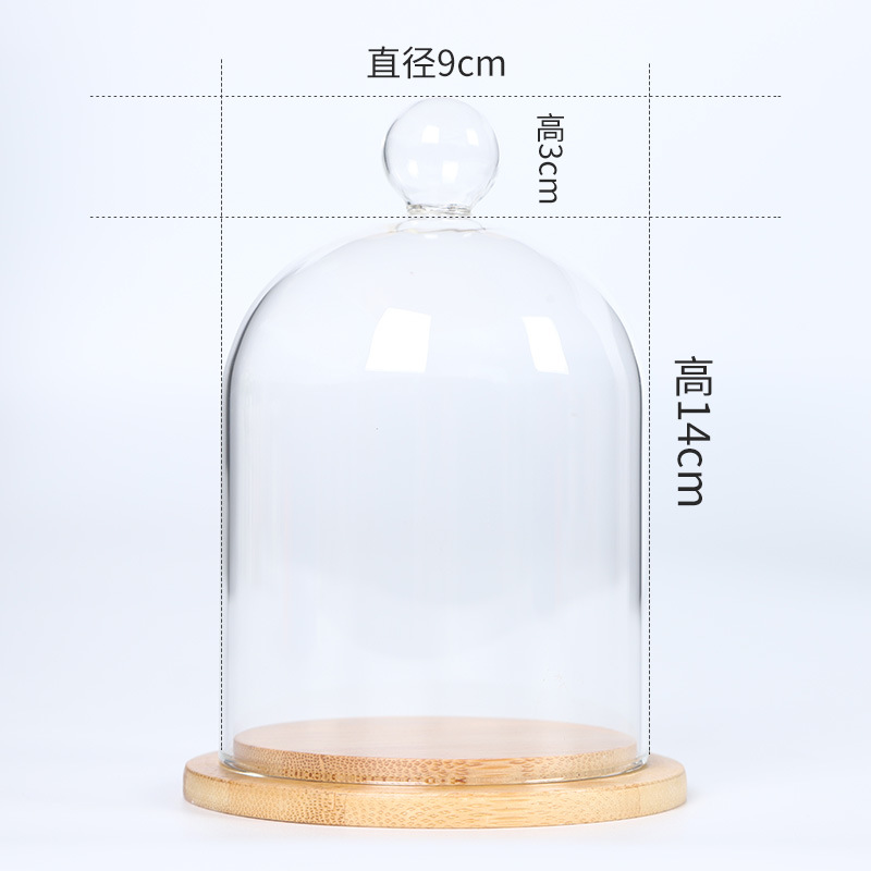 Preserved flower glass cover, dried flower clay figure, dust-proof transparent cake cover, scented candle cover, gift