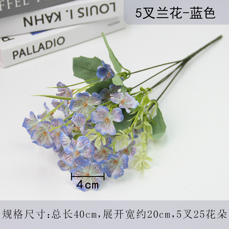 Blue, orchid