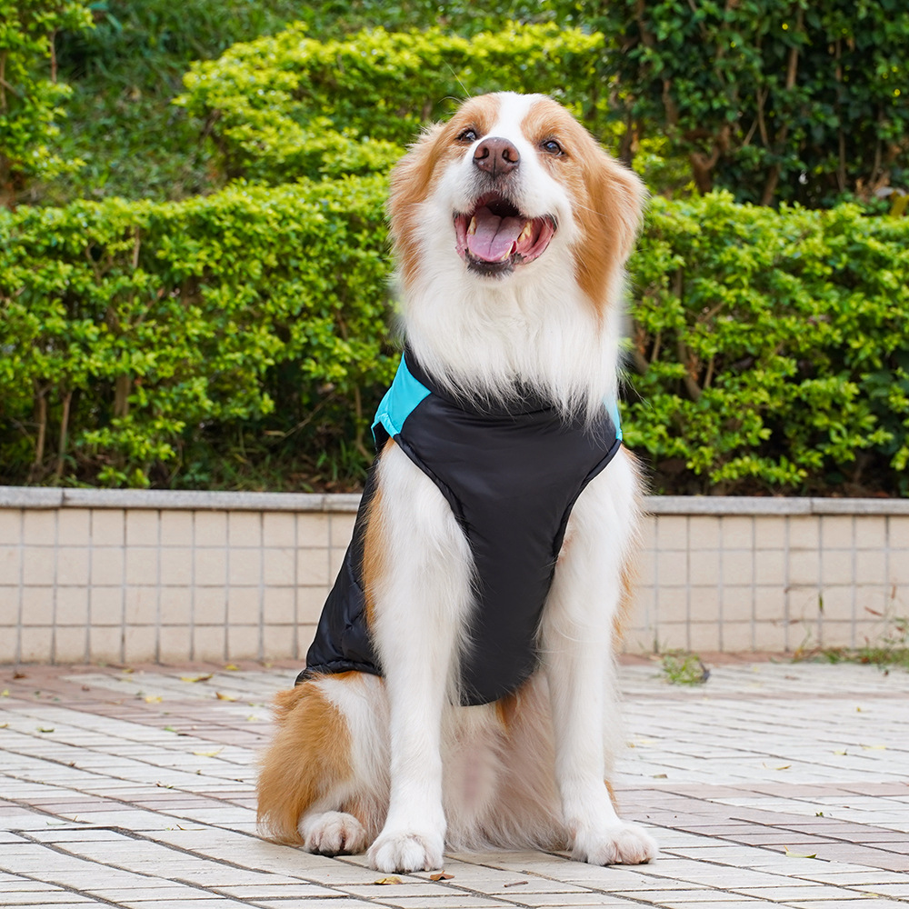 Ropa para mascotas, estilo otoño e invierno, chaleco de algodón para perros, ropa para perros y gatos, golden retriever, perros medianos y grandes, arnés al por mayor
