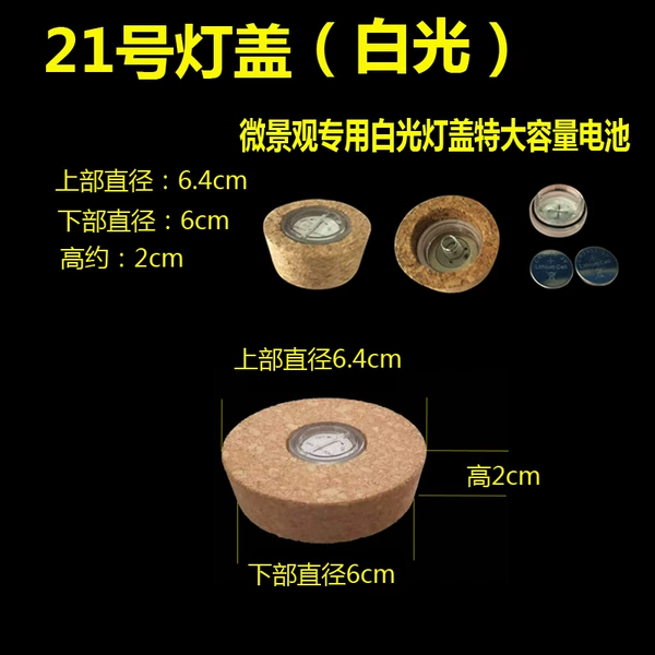 No. 21 lamp cover