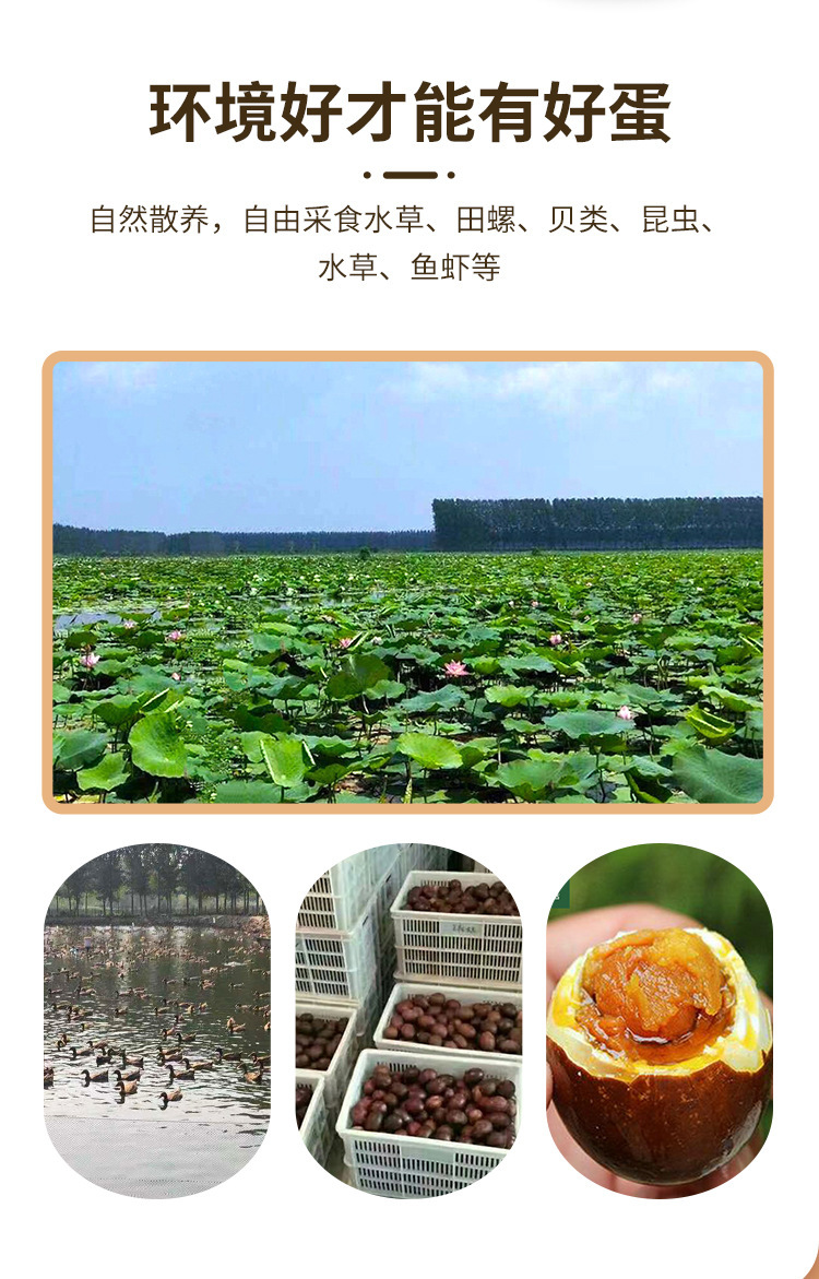 O1CN01r6iptS1kg90<i></i>Xb5fi9_!!4103