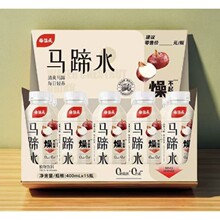 杨协成马蹄爽荸荠饮料甘蔗汁饮料300ml*24罐浴场自助餐饮品批批发