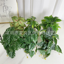 厂家批发仿真植物手感龟背叶绿萝假花植物墙装饰绿植小盆栽