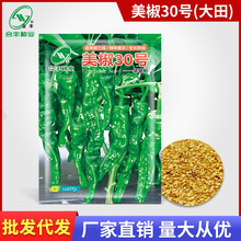 Nֲ30̖/s1000 NݽzN˽