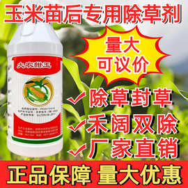 甜糯玉米除草剂死草烂根禾阔双除封杀控三效甜玉玉米地苗后除草剂