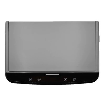Car Rear Entertainment, Car TV