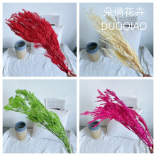 ǧ�ӽ����l������ǧ�ӽ�ɻ���Ȼֲ��ɭϵ��Ȼ�ɻ��Ҿ�ܛ�b����