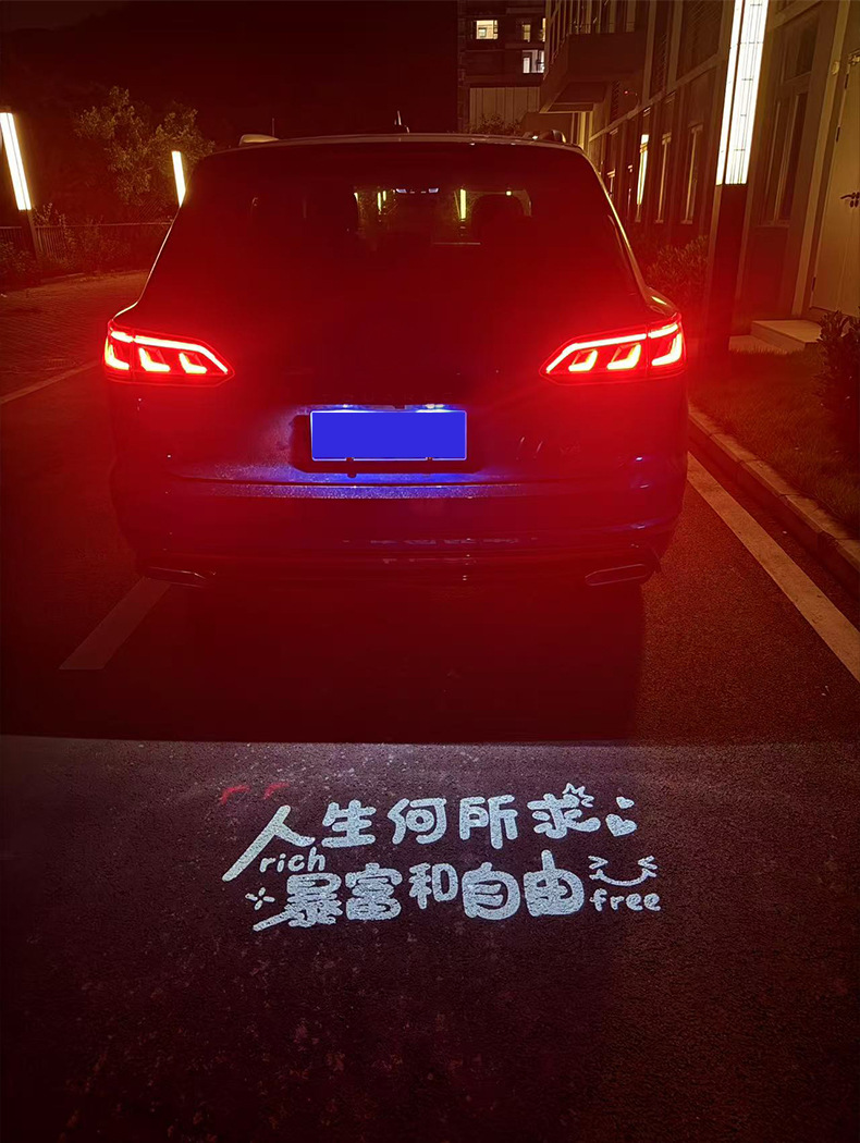 Suitable for Volkswagen license plate projection lights for Magotan B9, Passat, Lingdu, T-Roc, Tayron, Tiguan, Teramont, Sagitar