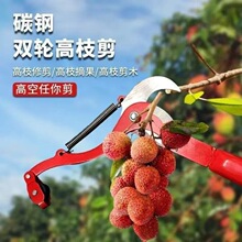 ���l��֦���߿ռ���֦���ɹ���ժ�ɹ���֦������֦����s���L�U��