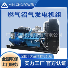 Weichai 天然ガス発電機セット ガス発電機 データセンター発電所プロジェクト バイオガス発電機セット工場