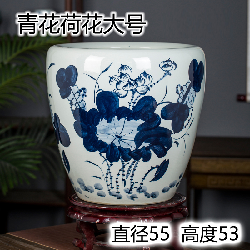 큰 파란색과 흰색 연꽃 직경 55 높이 53