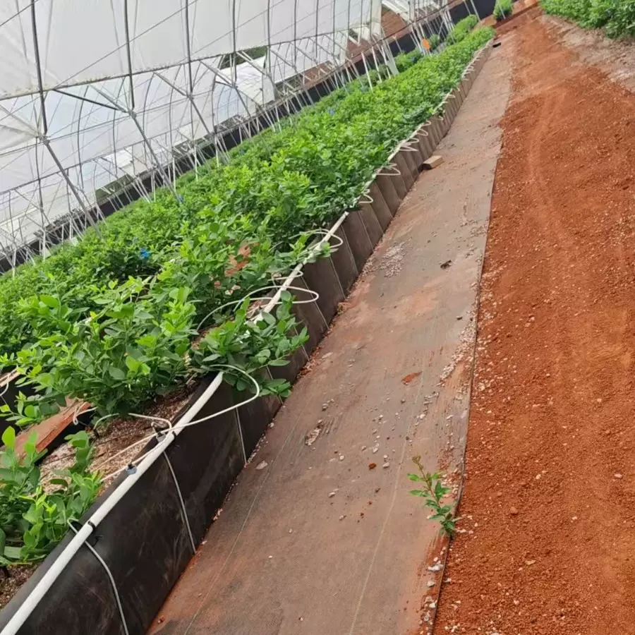 [PP无土栽培种植槽]基质无土栽培营养槽温室大棚花卉蔬菜种植槽