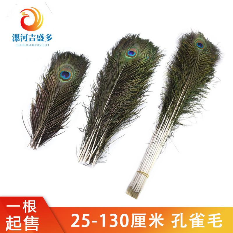 Spot 25-110cm Peacock Feather Peacock Feather Wholesale Jewelry Accessories Flower Arrangement Feather Natural Feather Decoration