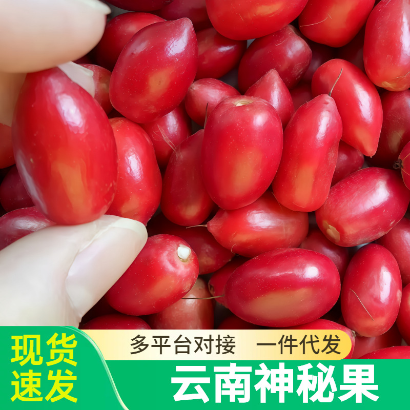 现摘新鲜神秘果鲜果酸变甜变味果 蜜拉圣果 神奇改变味觉果干新鲜